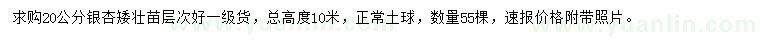 求購20公分銀杏