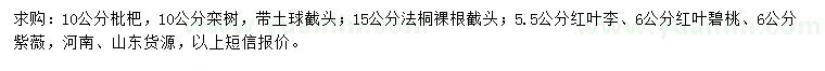 求購枇杷、欒樹、法桐等