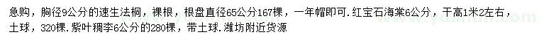 求購速生法桐、紅寶石海棠、紫葉稠李