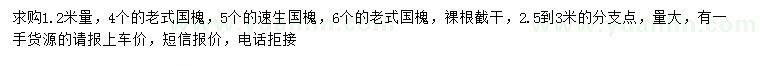 求購4、5、6公分國槐