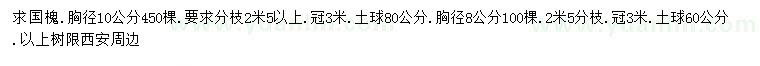 求購胸徑8、10公分國(guó)槐
