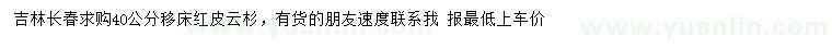 求購40公分移床紅皮云杉