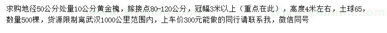 求購地徑50公分處量10公分黃金槐