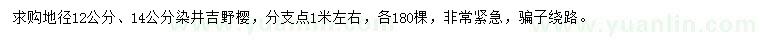 求購地徑12、14公分染井吉野櫻