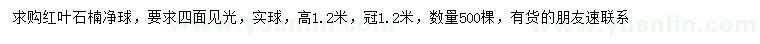 求購高1.2米紅葉石楠凈球