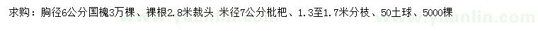 求購胸徑6公分國(guó)槐