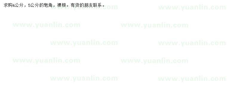 求購(gòu)4、5公分皂角