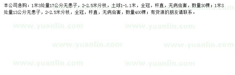求購1.2米處量13、17公分無患子
