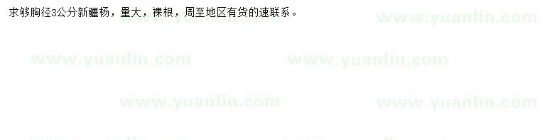 求購(gòu)胸徑3公分新疆楊