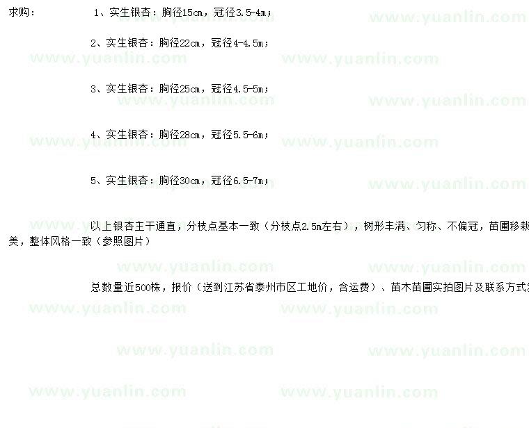 求購胸徑15、22、25、28、30公分實生銀杏