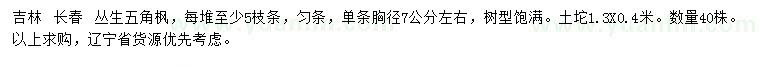 求購胸徑7公分左右叢生五角楓