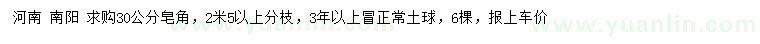 求購(gòu)30公分皂角
