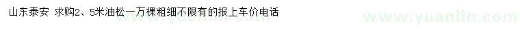 求購2、5米油松