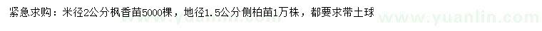 求購(gòu)米徑2公分楓香苗、地徑1.5公分側(cè)柏苗
