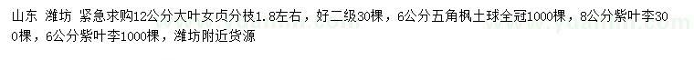 求購大葉女貞、五角楓、紫葉李