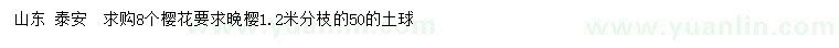 求購(gòu)8公分櫻花
