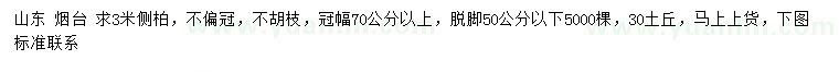 求購3米側(cè)柏