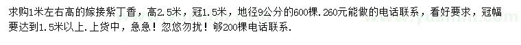 求購地徑9公分紫丁香