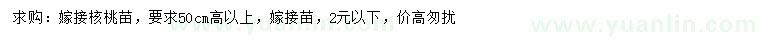 求購(gòu)高50公分以上嫁接核桃苗