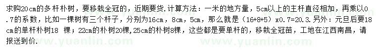 求購胸徑20公分樸樹