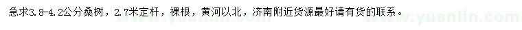求購(gòu)3.8-4.2公分桑樹(shù)
