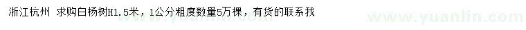 求購高1.5米白楊