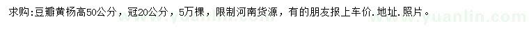 求購高50公分豆瓣黃楊