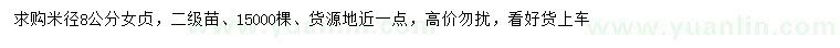 求購米徑8公分女貞