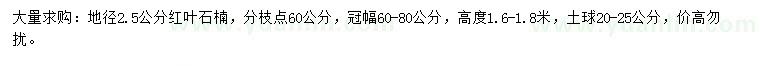 求購(gòu)地徑2.5公分紅葉石楠
