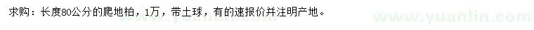 求購長80公分爬地柏