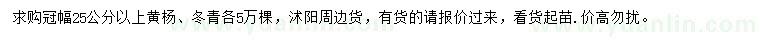 求購冠幅25公分以上黃楊、冬青