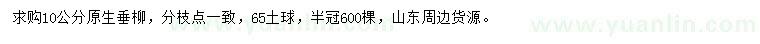 求購(gòu)10公分垂柳