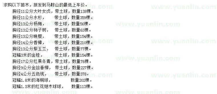 求購大葉女貞、水杉、楊梅等