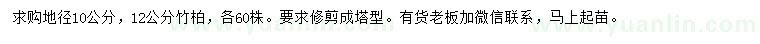 求購地徑10、12公分竹柏