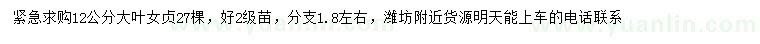 求購12公分大葉女貞