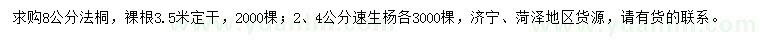 求購8公分法桐、2、4公分速生楊