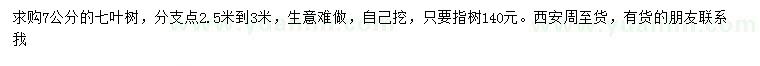 求購7公分七葉樹