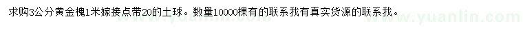求購3公分黃金槐