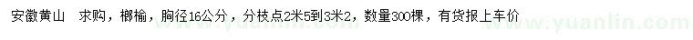 求購胸徑16公分榔榆