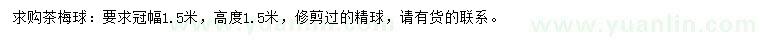 求購冠幅1.5米茶梅球