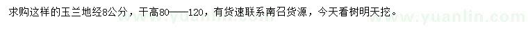 求購地徑8公分玉蘭