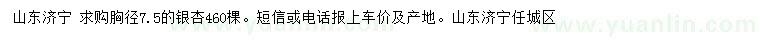 求購胸徑7.5公分銀杏