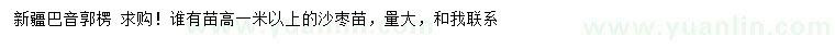 求購(gòu)高1米以上沙棗苗