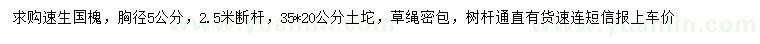 求購(gòu)胸徑5公分速生國(guó)槐