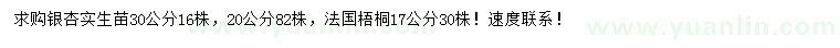 求購20、30公分銀杏實生苗、17公分法國梧桐