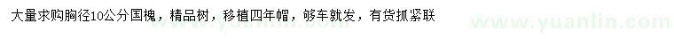 求購胸徑10公分國槐