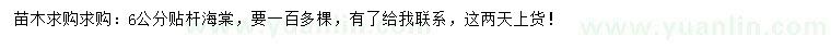 求購6公分貼桿海棠