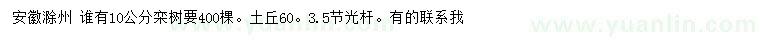 求購10公分欒樹