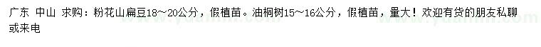 求購18-20公分粉花山扁豆、15-16公分油桐