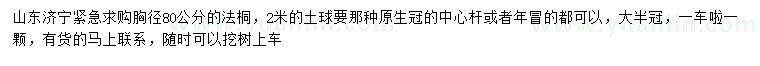 求購胸徑80公分法桐